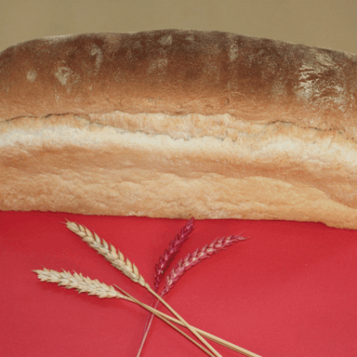 Pão de Forma Grande